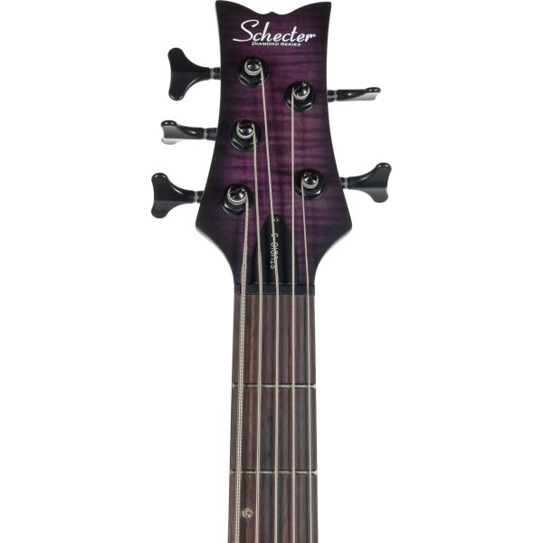 Schecter Stiletto Studio-5 5-String Bass Guitar - Transparent Purple For Sale