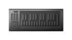 Roli Seaboard RISE 25-Key Online Sale