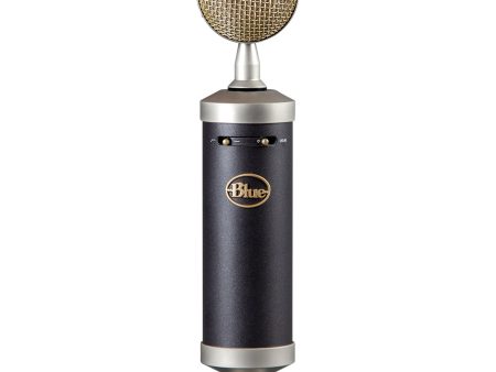 Blue Microphones Baby Bottle SL For Sale