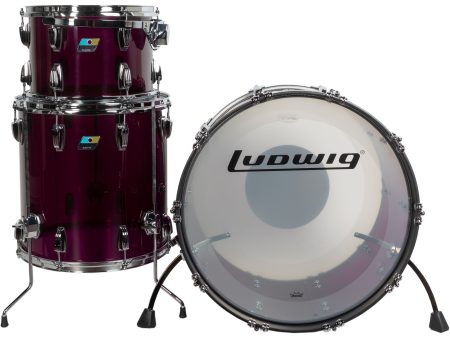 Ludwig Limited Edition Vistalite 3-Piece Shell Kit - Purple For Sale