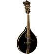 Washburn Americana M1S A Style Mandolin - Solid Top Black Online