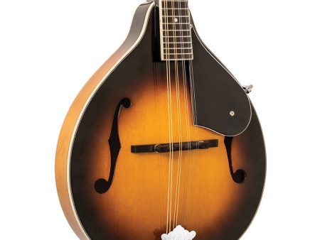 Washburn Americana M1-Pack A Style Mandolin - Tobacco Sunburst Sale