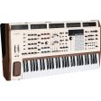 Arturia Polybrute 12 Polyphonic Analog Synthesizer Hot on Sale